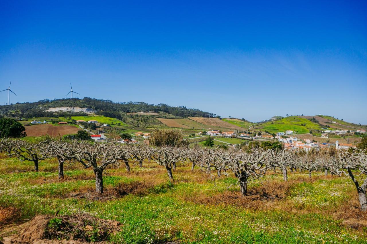 Traditional Portuguese Village House - Casa Martins No 52 Freiria ภายนอก รูปภาพ