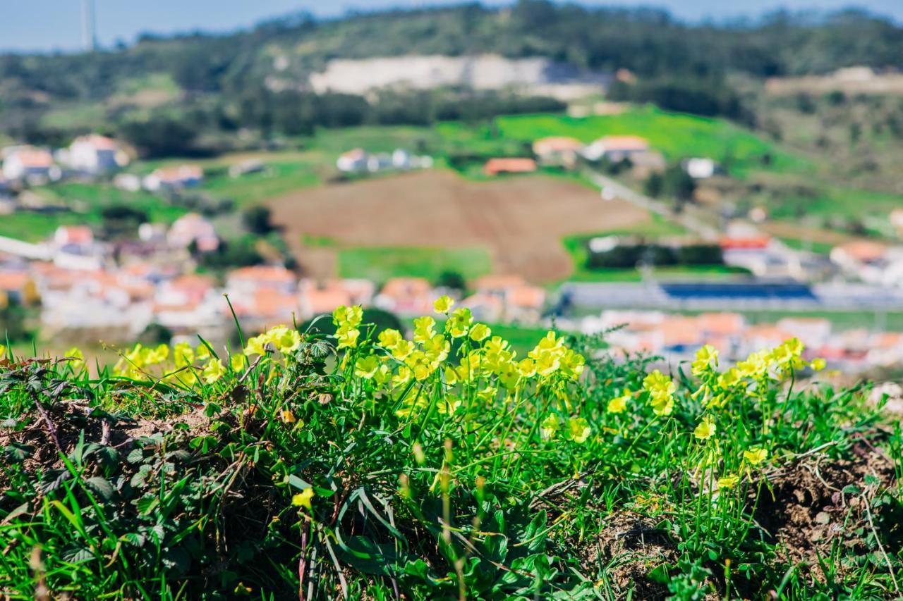 Traditional Portuguese Village House - Casa Martins No 52 Freiria ภายนอก รูปภาพ